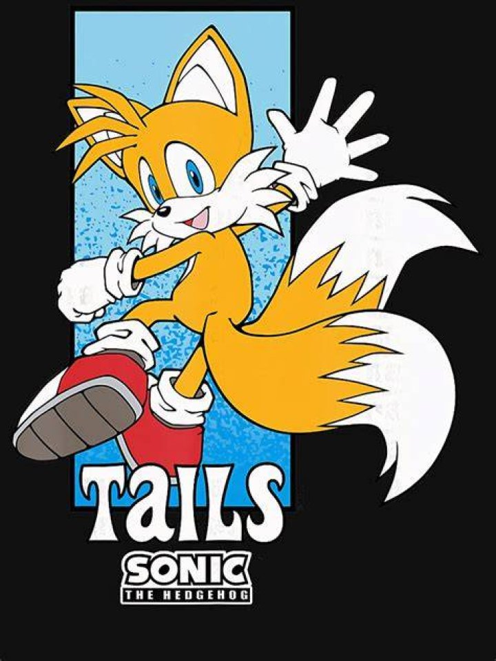 1000+ images about Tails on Pinterest Sonic the Hedgehog, Sonic boom