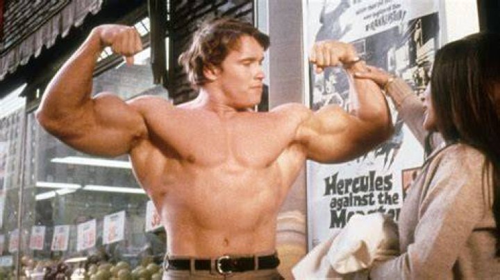 Arnold Schwarzenegger's Sons Patrick and Joseph Baena Spotted on Rare