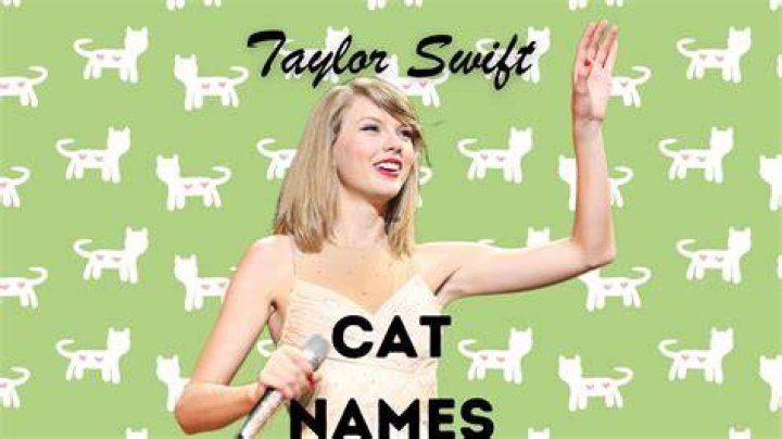 Taylor Swift cats&rsquo; names How many cats does T Swift have? What breed